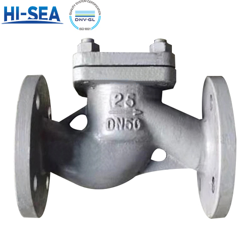 Cast Iron Check Valves